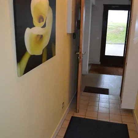 Les Dryades L'epicéa *