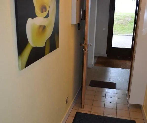 Les Dryades L'epicea *